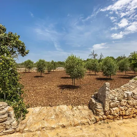 Yupihome Son Ramon Llull * Manacor (Mallorca)